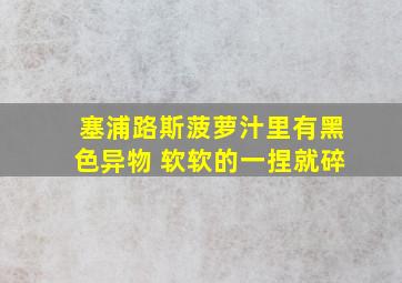 塞浦路斯菠萝汁里有黑色异物 软软的一捏就碎